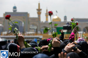 گل‌آرایی حرم‌های مطهر امام حسین (ع) و حضرت عباس (ع) در شب میلاد سیدالشهدا (ع) + فیلم