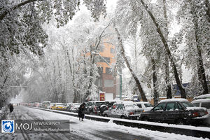 پیش بینی وضعیت آب و هوا / بارش باران و برف و کاهش دما