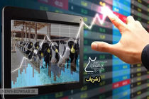  رشد ۸۰ درصدی قیمت سهام زشریف نسبت به سال مالی گذشته