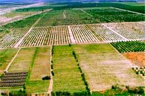 رئیس سازمان امور اراضی کشور بر سهولت ارائه خدمات مدیریت زمین برای سرمایه‌گذاران تاکید کرد