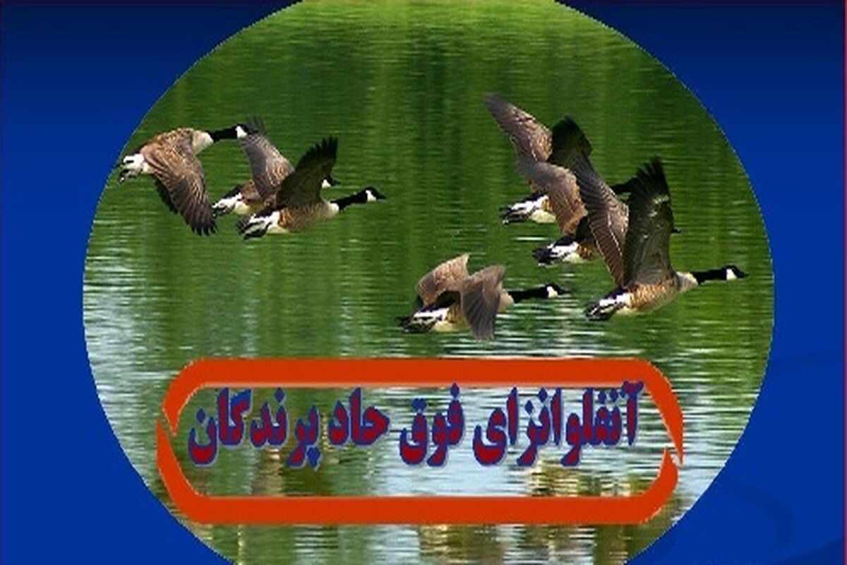 اصفهان- آنفلوآنزای فوق حاد پرندگان