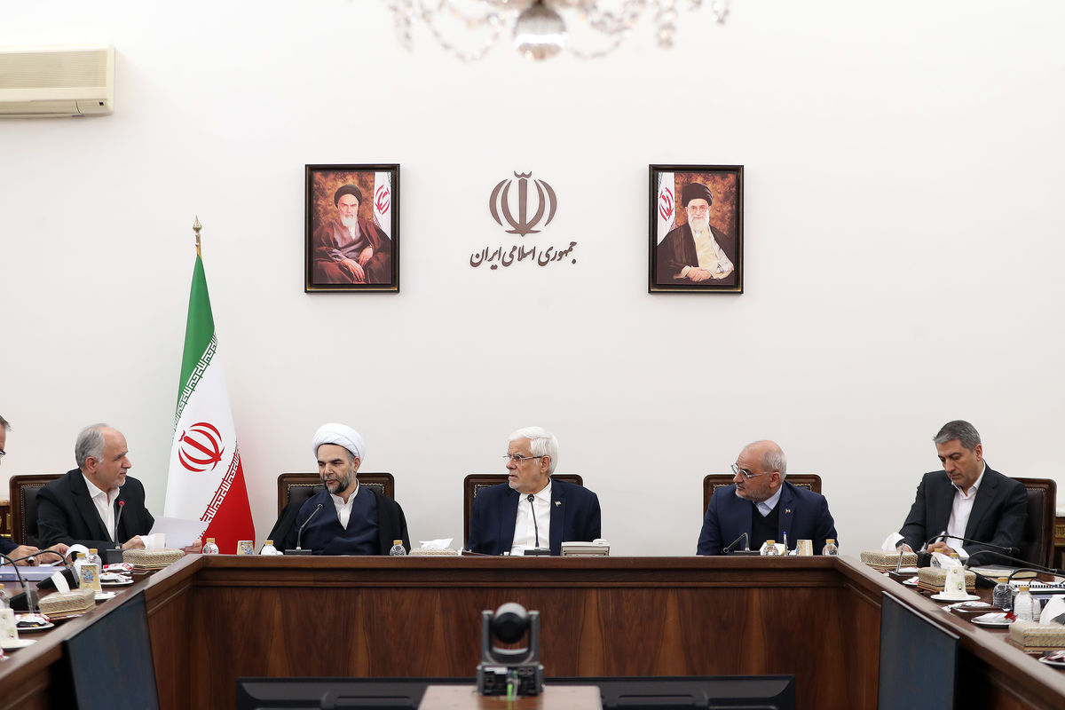 جلسه مشترک معاونان اول قوای قضائیه و مجریه