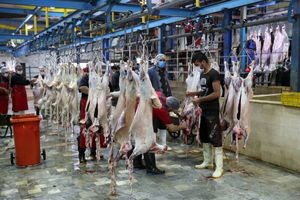 ظرفیت کشتارگاه‌های کرمانشاه تا ۴۵۰۰ افزایش می‌یابد 