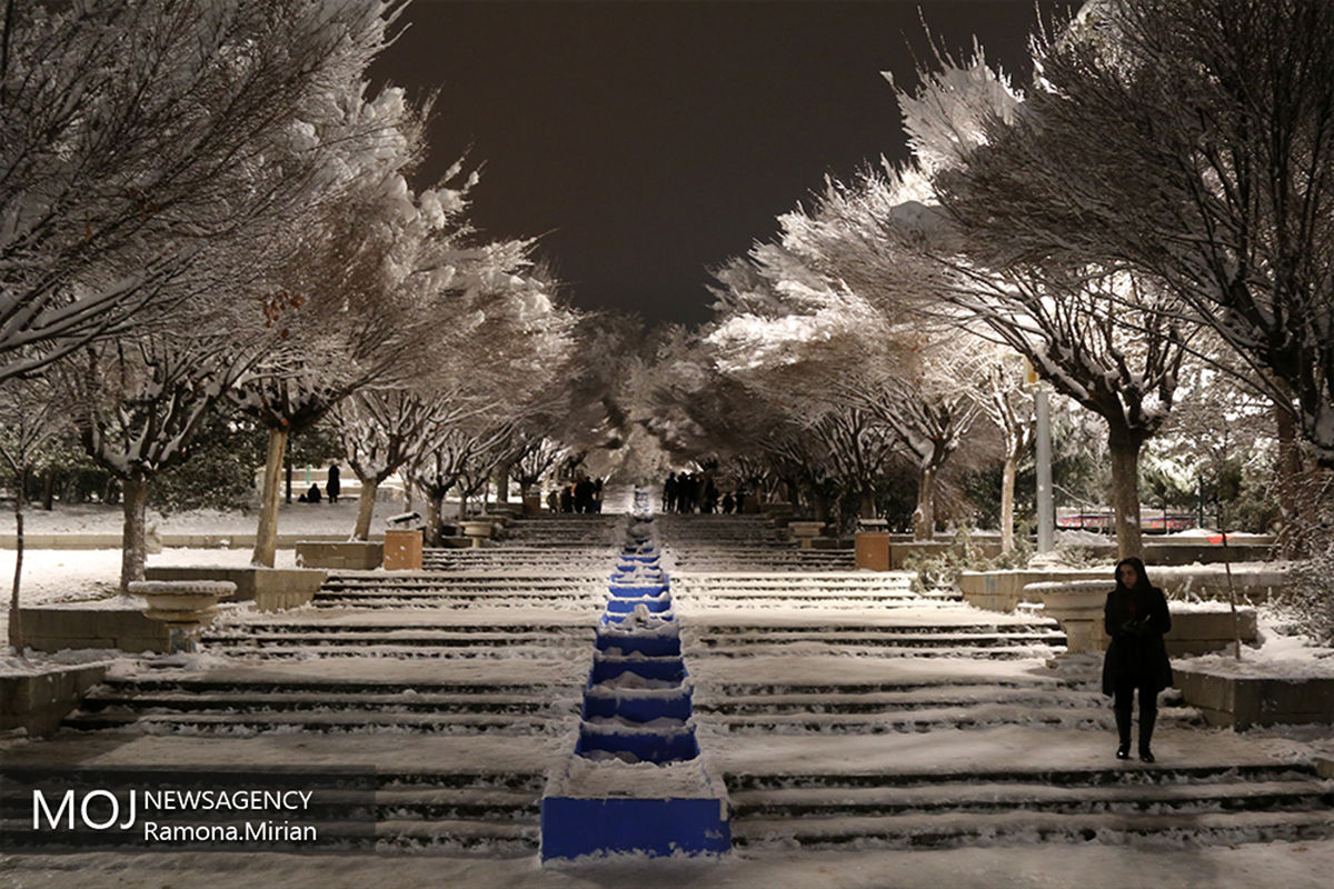 برف بازی در تهران