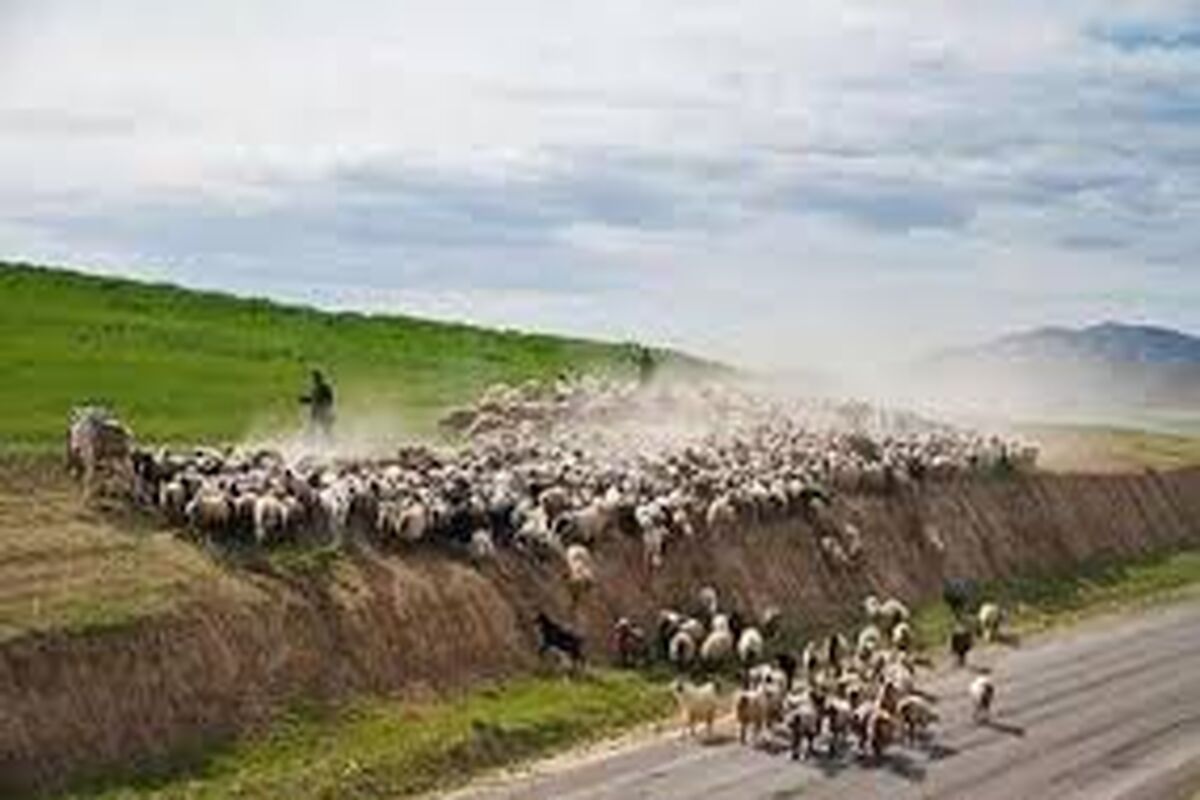 مراتع قشلاقی