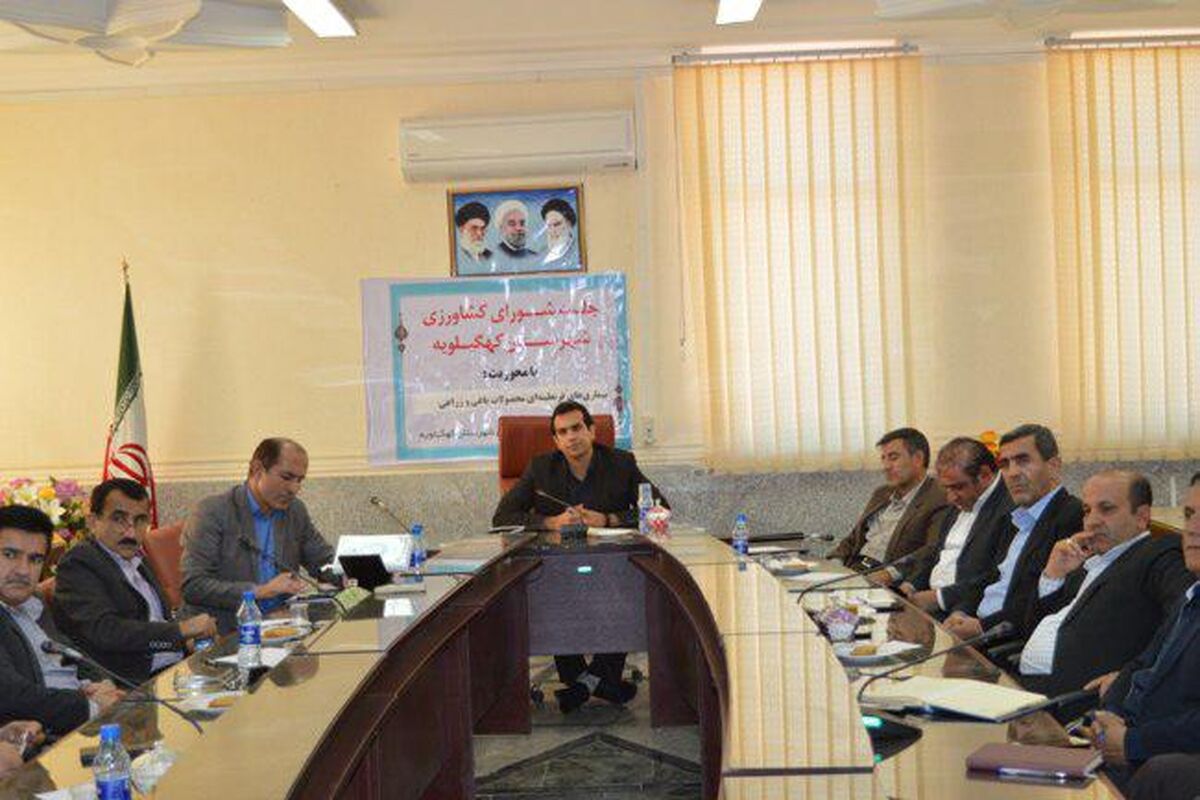 معاون فرماندار کهگیلویه