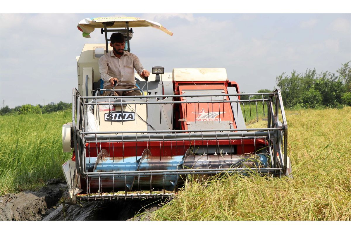 جهاد کشاورزی بهشهر 