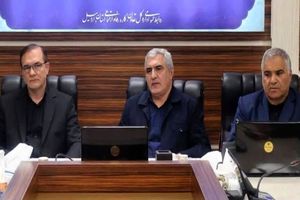 نظارت دستگاه‌های مرتبط از فروشگاه‌های مجری طرح کالابرگ الکترونیک افزایش یابد