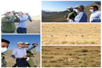 بازدید مدیرعامل ذوب آهن اصفهان از پارک ملی قمیشلو