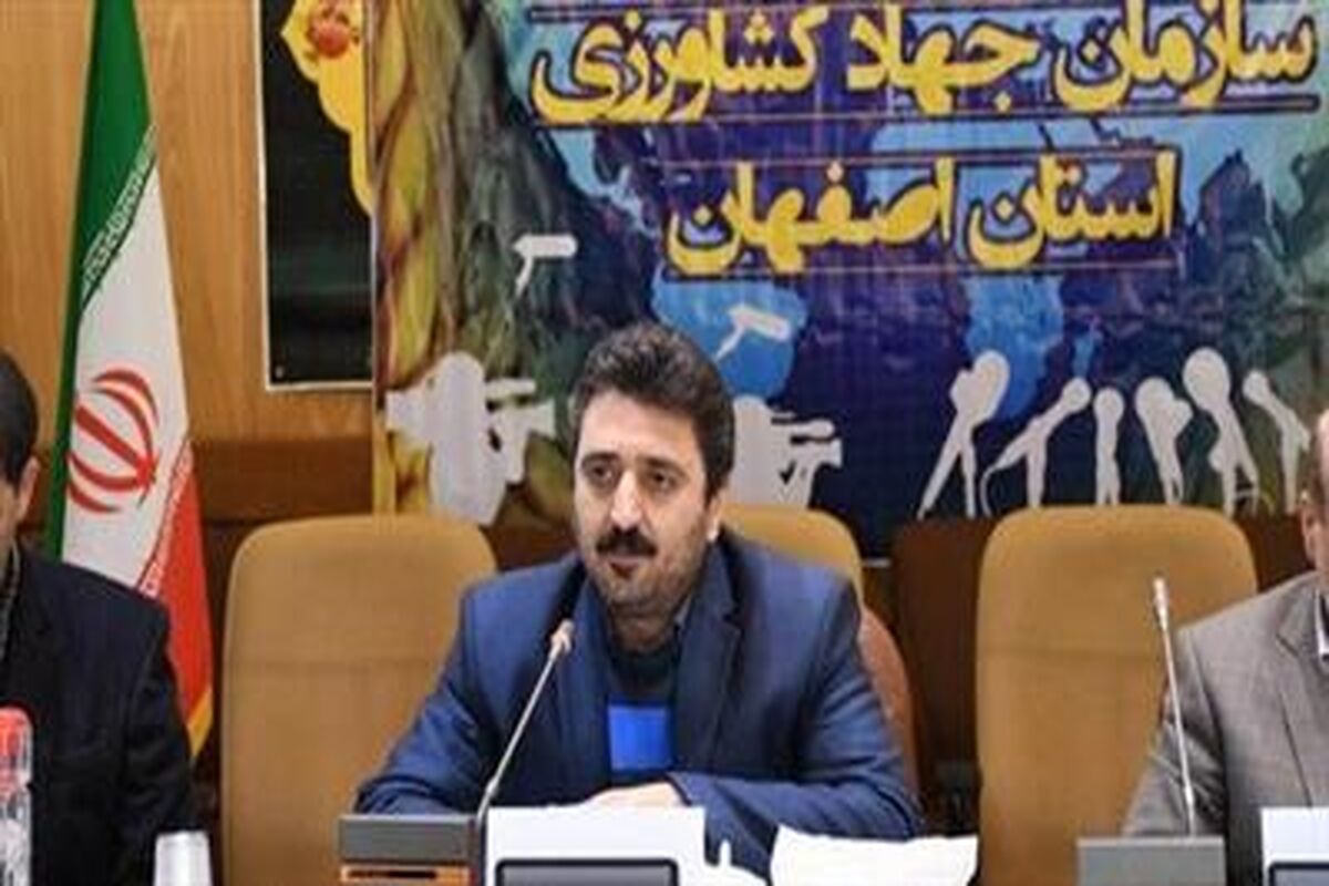 مهرداد مرادمند