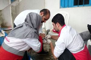 تحویل یک قطعه پرنده نوک خنجری به اداره حفاظت محیط زیست رودسر