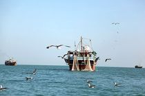 اجرای طرح دریابست از 30 شهریور در آب‌های هرمزگان