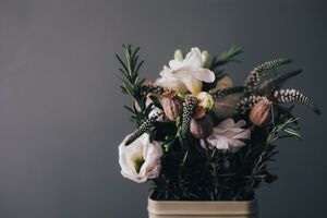 راهنمای انتخاب گل برای دکوراسیون داخلی خانه