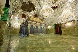 رأفت و منش امام رضا(ع)؛ الگوی بی‌بدیل تعامل فرهنگی در جهان اسلام /حرم رضوی مأمن و مأوای عاشقان اهل بیت(ع)