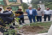 کاشت ۱۰ اصله نهال به یاد خبرنگاران فقید اردبیلی در محوطه خانه مطبوعات
