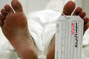کاهش متوفیان ناشی از مسمومیت با قرص برنج در چهار ماهه سال جاری در کرمانشاه