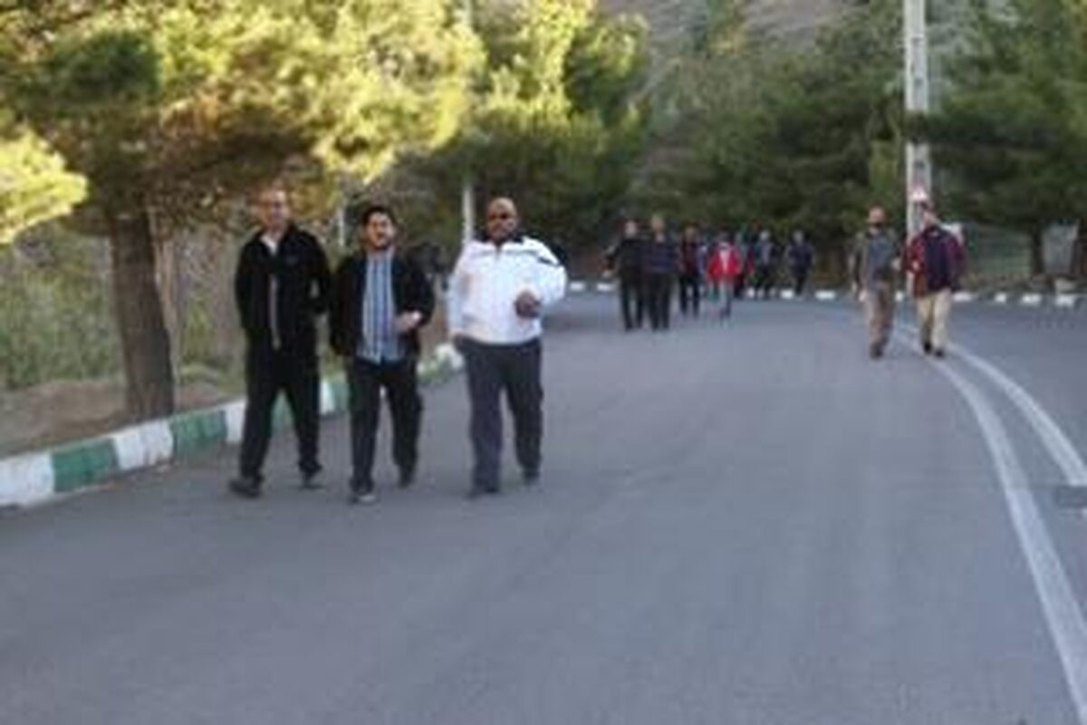 پیاده روی