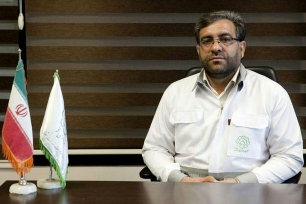 سید محسن میرهادی