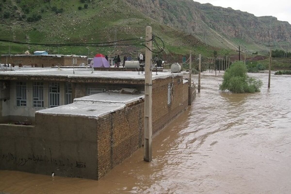 سیلی