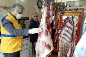معدوم سازی 20 تن فرآورده های خام دامی غیر بهداشتی در اردبیل