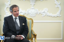 ایران در برخورد خود بازرسان ارشد آژانس تجدید نظر کند
