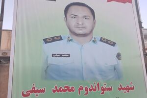 جنگ ملت است، من جا نمی‌زنم/ روایت همسر شهید محمد سیفی از آخرین روزهای زندگی‌اش