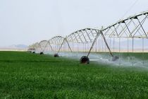 تجهیز حدود یک هزار ۲۵۰ هکتار از اراضی سیستان و بلوچستان به سیستم های آبیاری نوین
