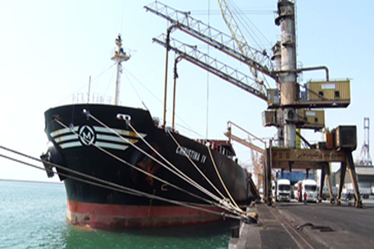 نهادهای دامی