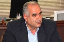 پرتقال انبارشده در مازندران سالم و قابل مصرف است/ ناراحتی باغداران مازندران از واردات پرتقال توسط دولت