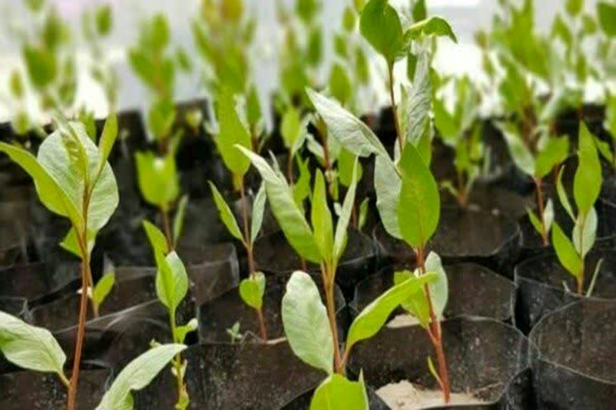 IMG_20230304_091952_089