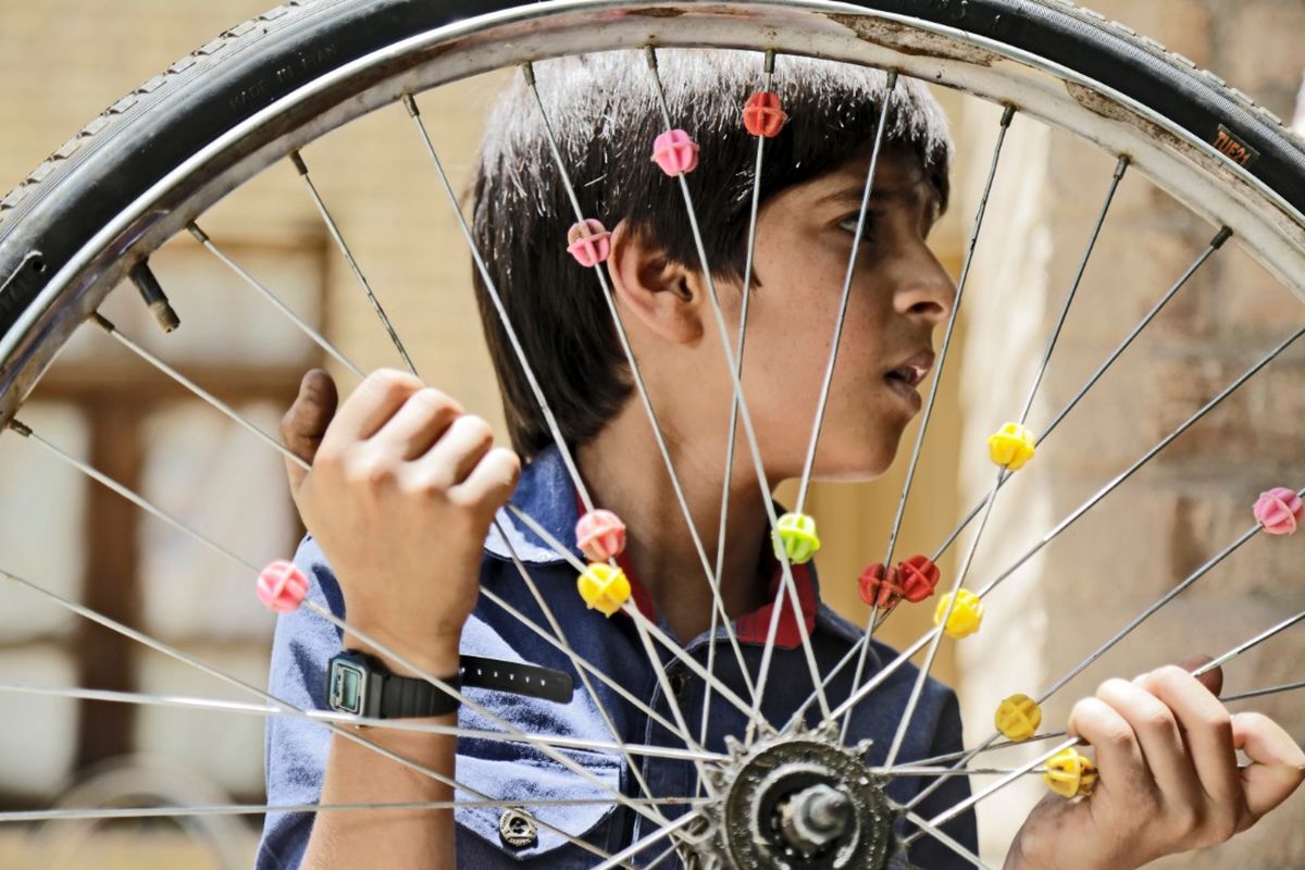 ماهی و برکه