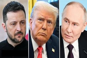 ولادیمیر بس کن