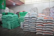  ارز برنج وارداتی، نیمایی است/افزایش ۳۰ درصدی واردات برنج جهت تعادل‌بخشی به بازار برنج در سال ۱۴۰۱