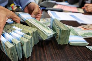 ۳۶.۷ میلیارد دلار ارز برای واردات توسط بانک مرکزی تأمین شد