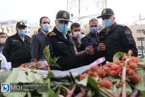 سی و نهمین مرحله از اجرای طرح رعد