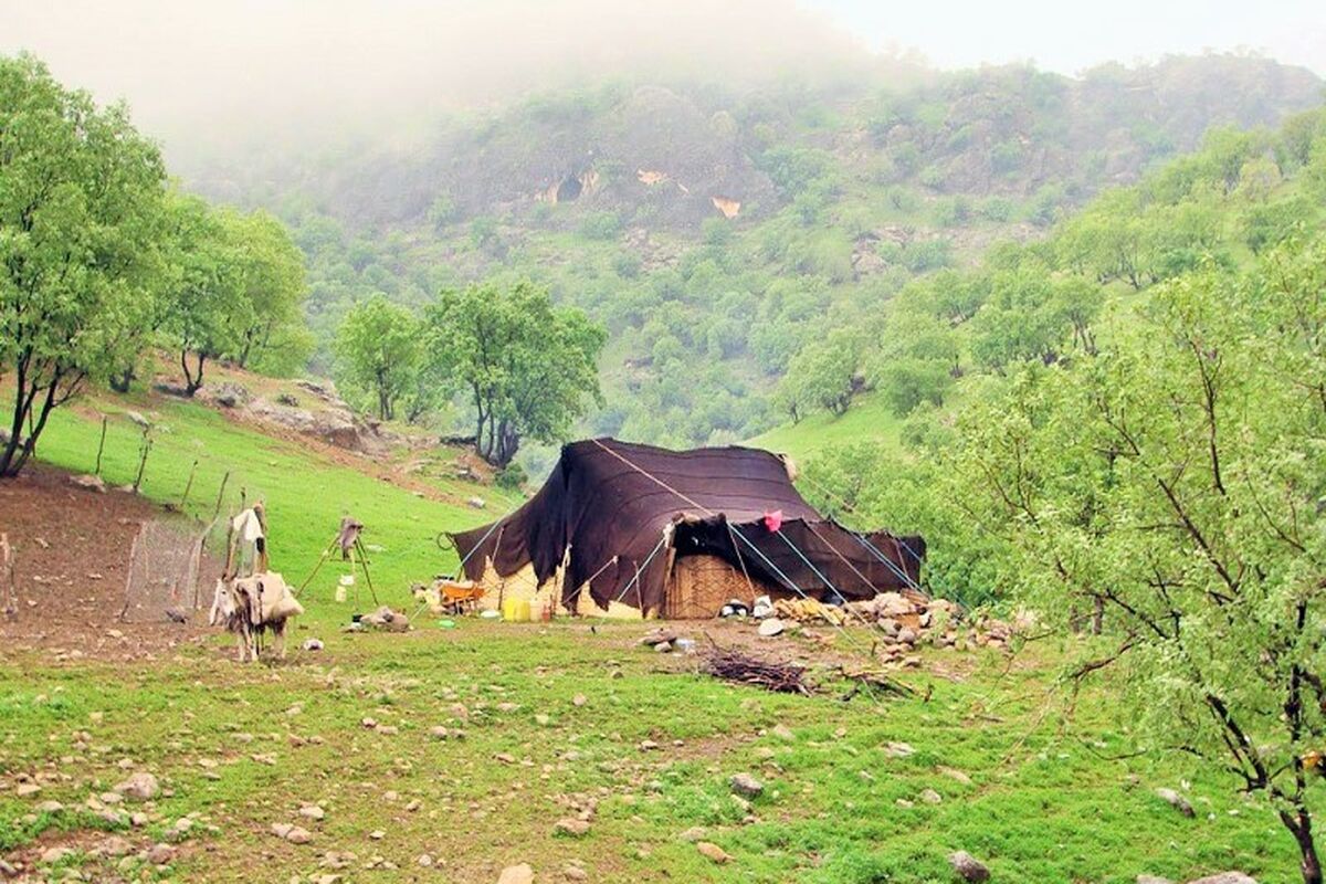 عشایر 