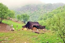 برگزاری نخستین رویداد ملی گردشگری عشایر در شیراز 