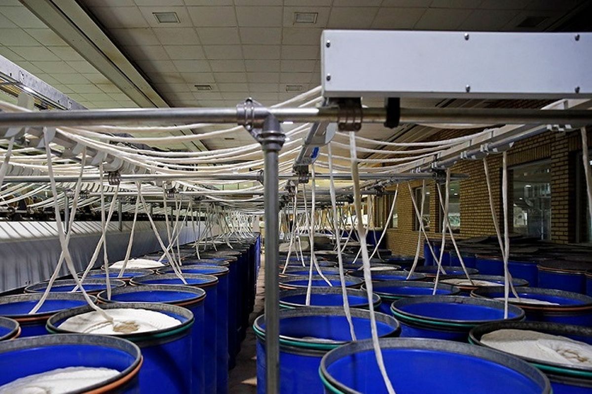 کارخانه شیر وارنا