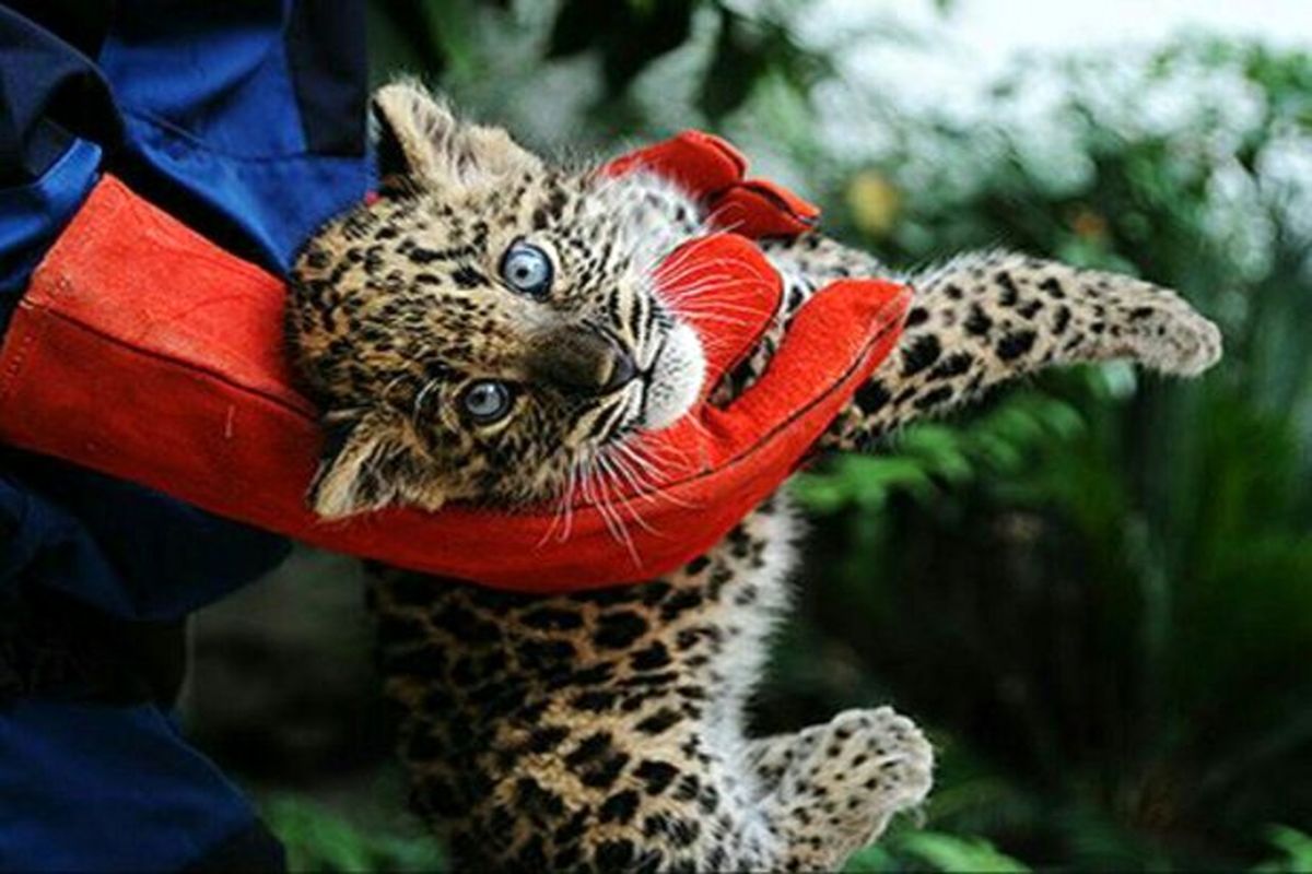 سرنوشت ۹ ماه دروغ و پنهان‌کاری