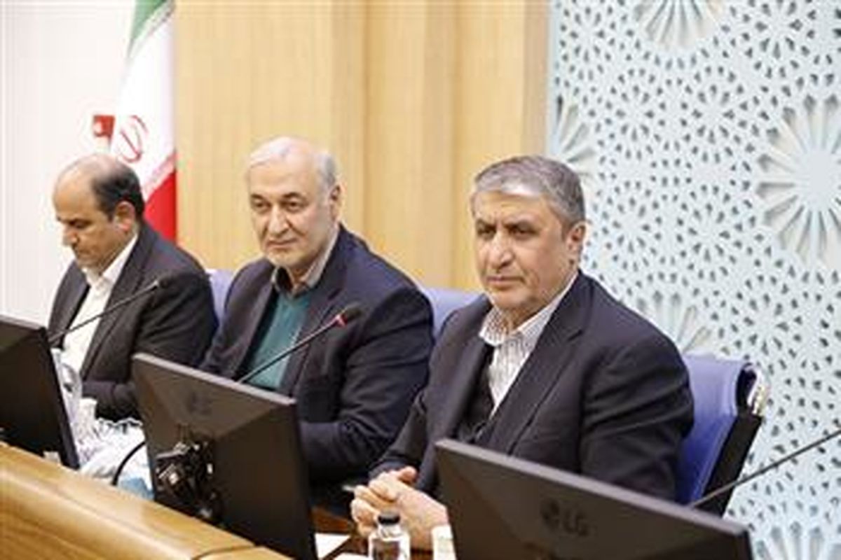 رییس سازمان انرژی اتمی