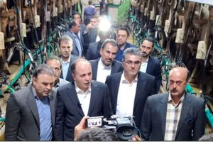 وزیر جهاد کشاورزی از مجتمع کشت و صنعت مغان بازدید نمود