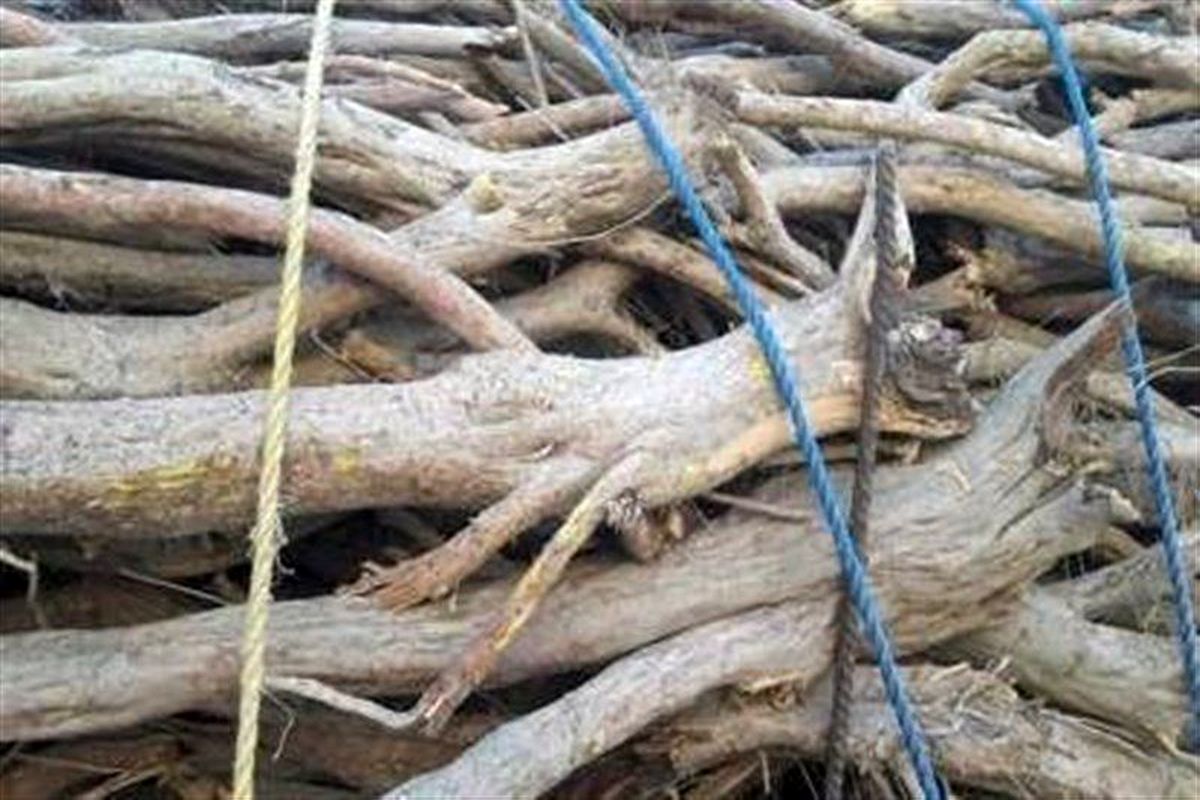 دستگیری+2+قاچاقچی