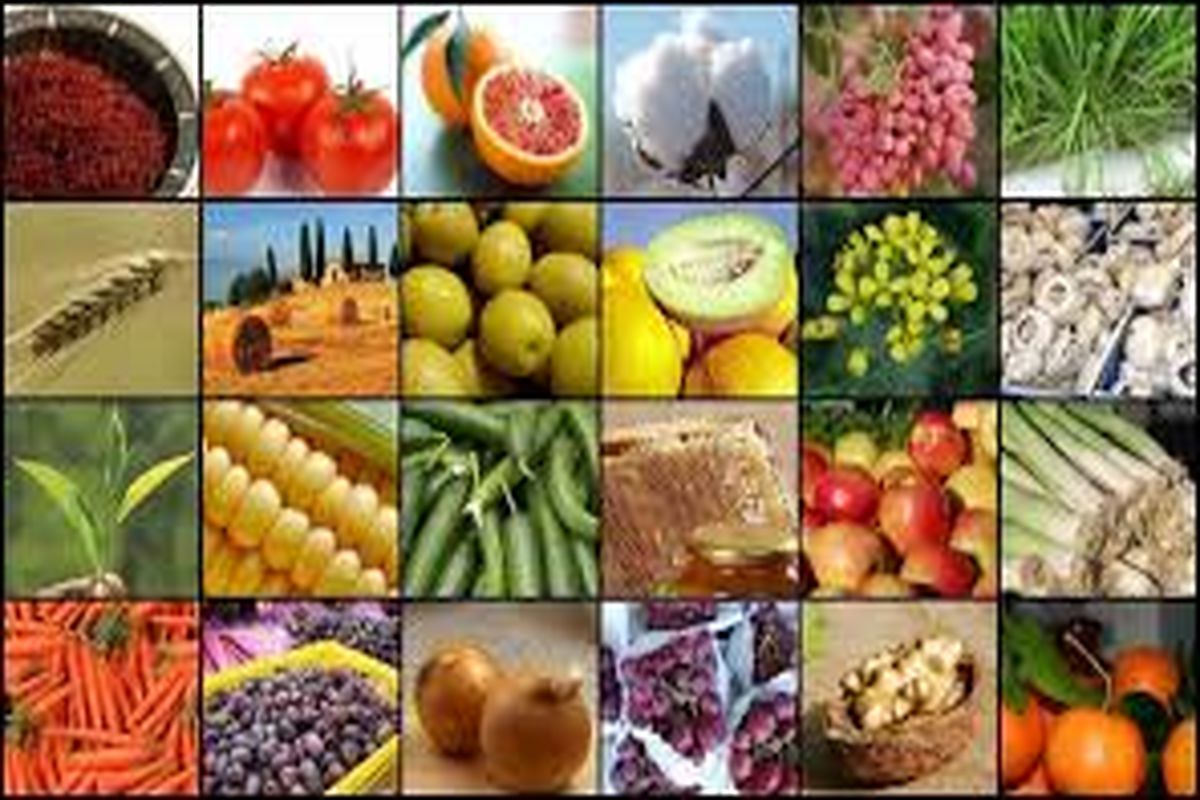بخش کشاورزی