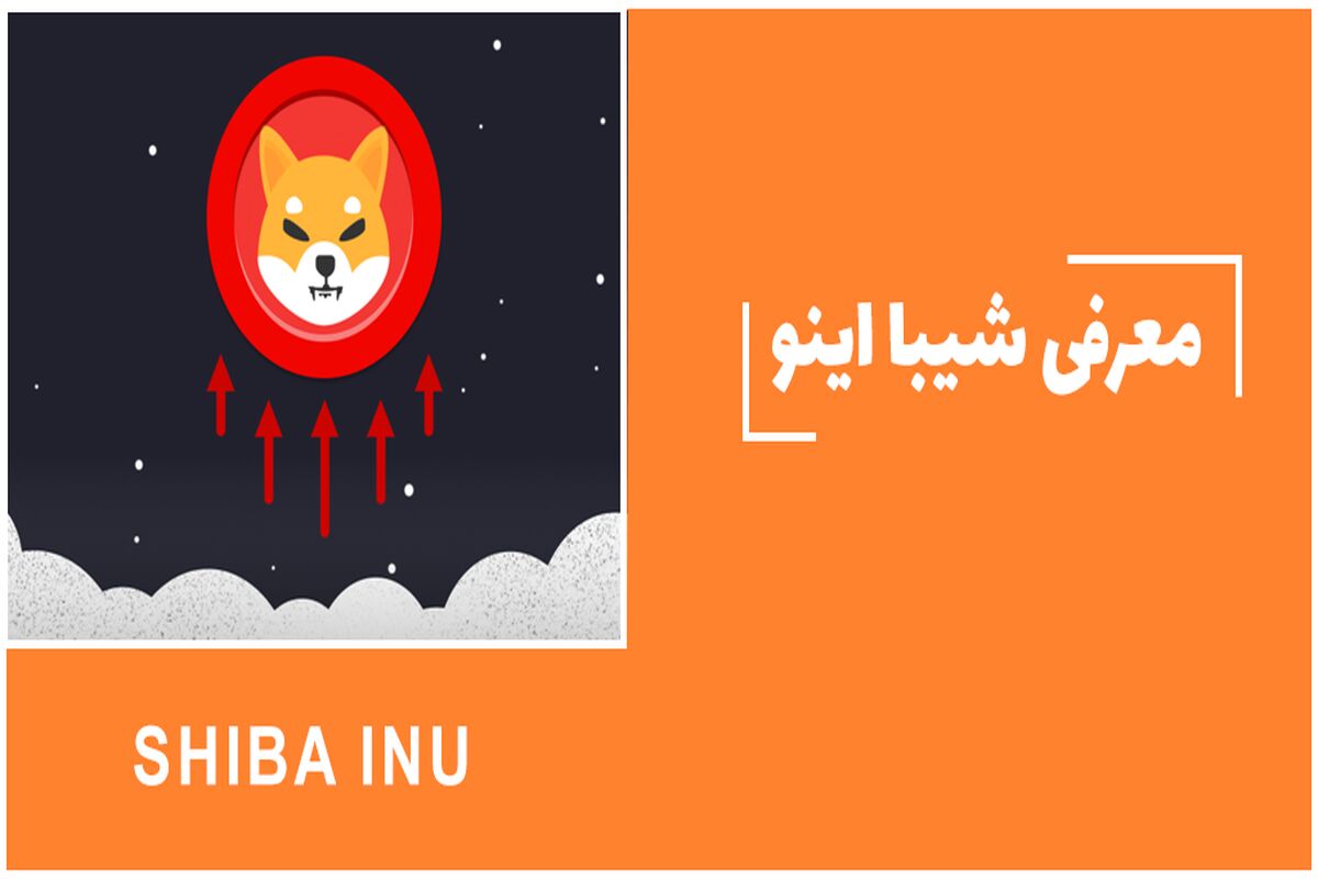 خرید شیبا اینو