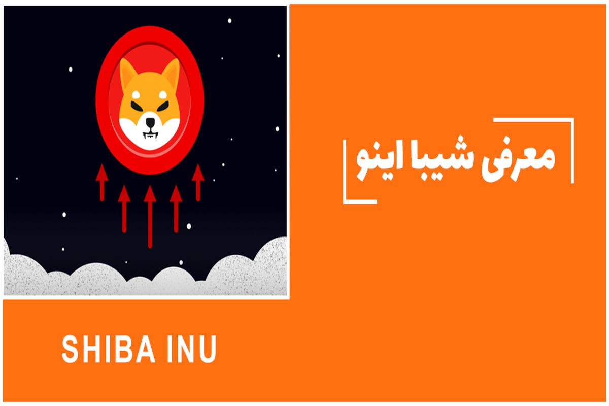 خرید شیبا اینو