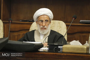مأموران نیروی انتظامی در زمینه برخورد با منکرات حمایت شوند