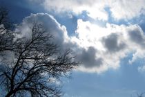 رگبار باران در ارتفاعات هرمزگان