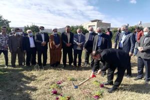 کلنگ‌زنی سورتینگ مرکبات در سوادکوه‌ شمالی