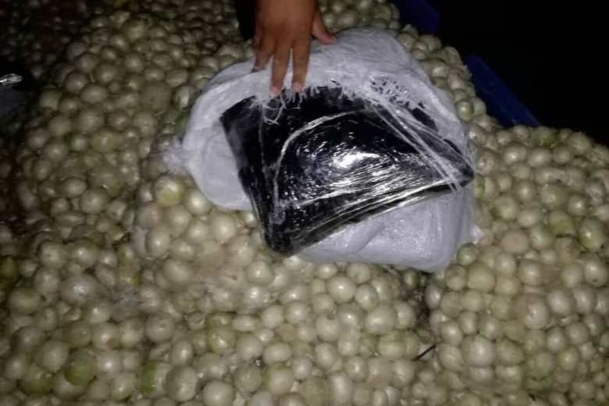 کشف تریاک