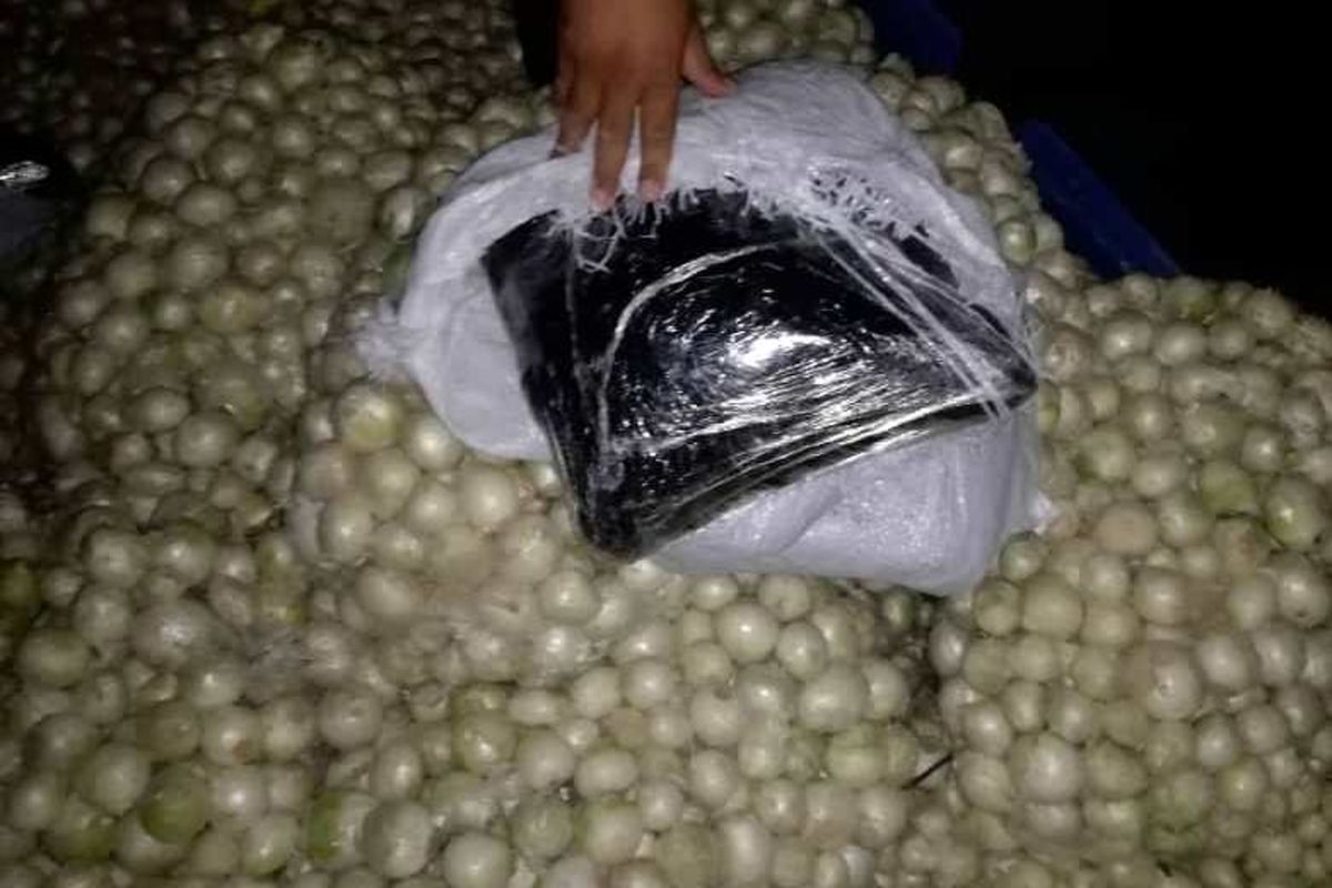کشف تریاک